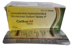 whatsapp image 2025 12 29 at 1.50.16 pm 4 removebg preview